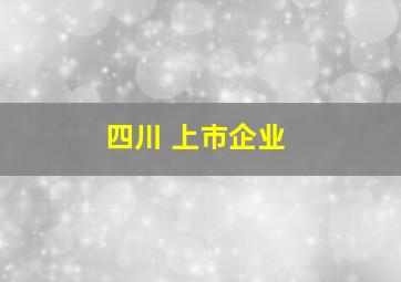 四川 上市企业